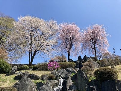 花桃の景観