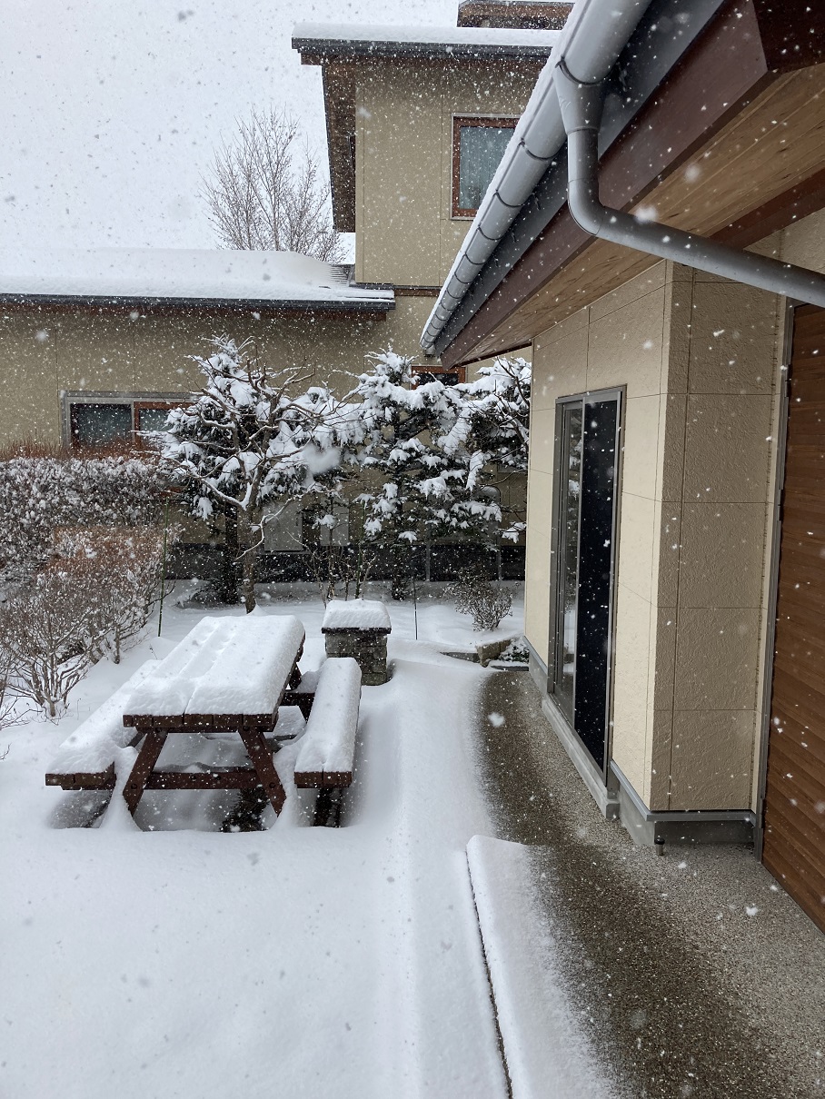 Photo_雪の日_202302