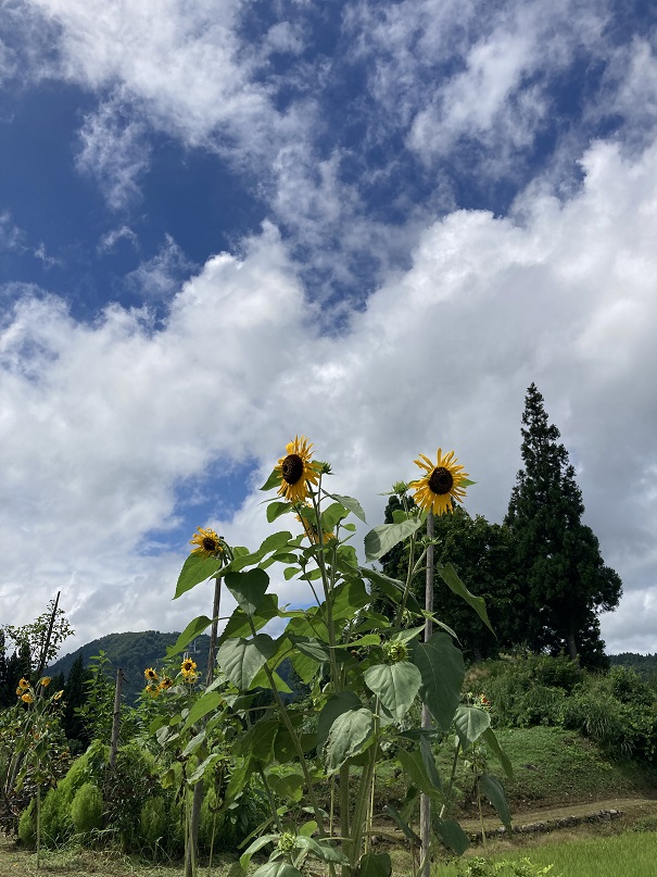 故郷の風景-4