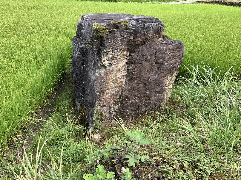 田んぼの大岩