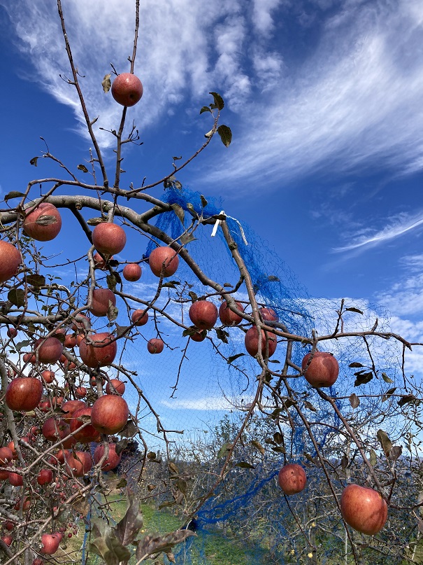 過行く秋の景色-1