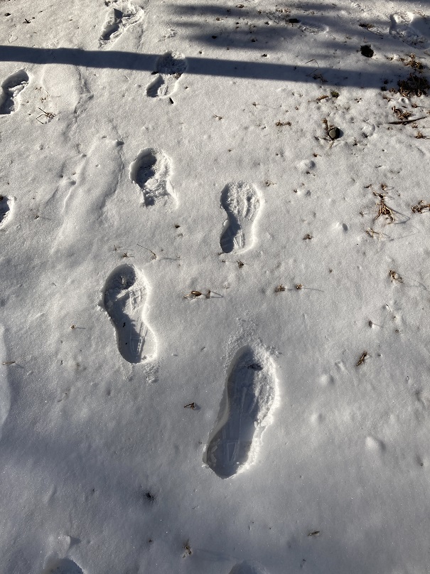 流れるままに足跡を遺す-2