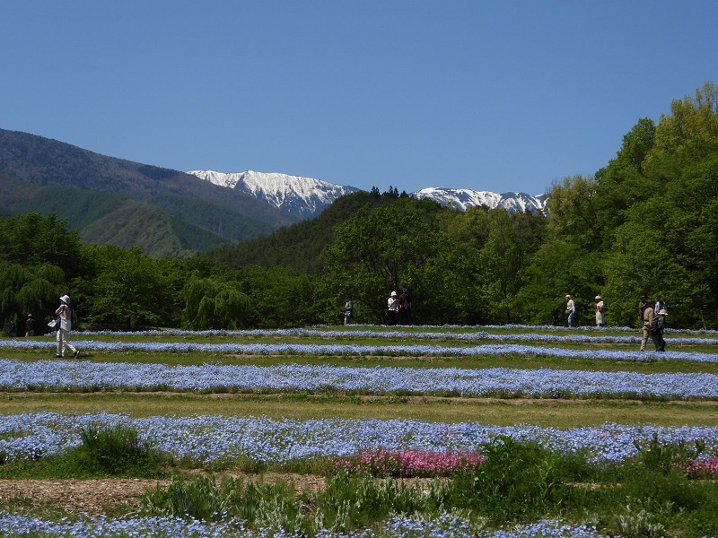 Photo_アルプスあずみの公園-1